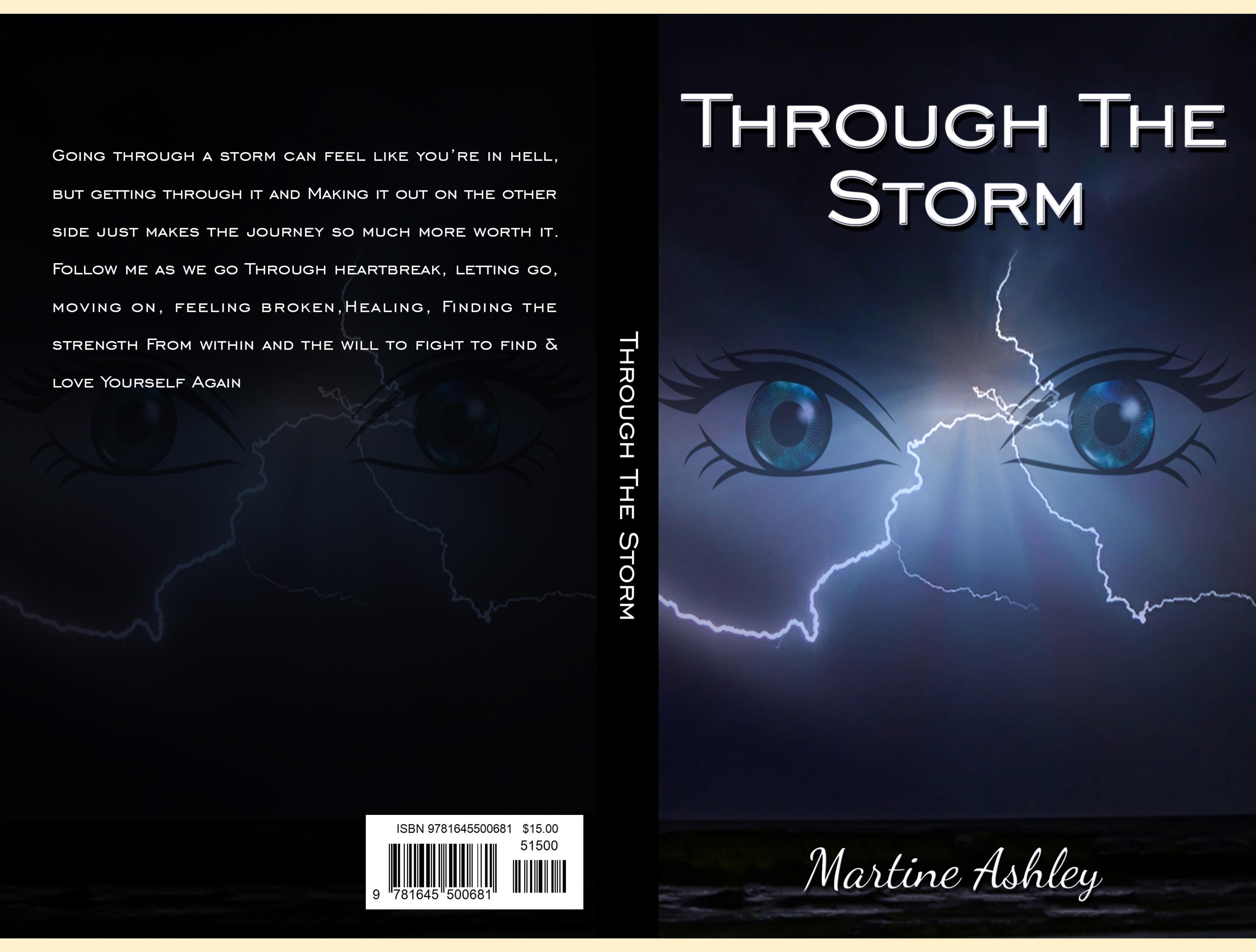 Through The Storm cover image