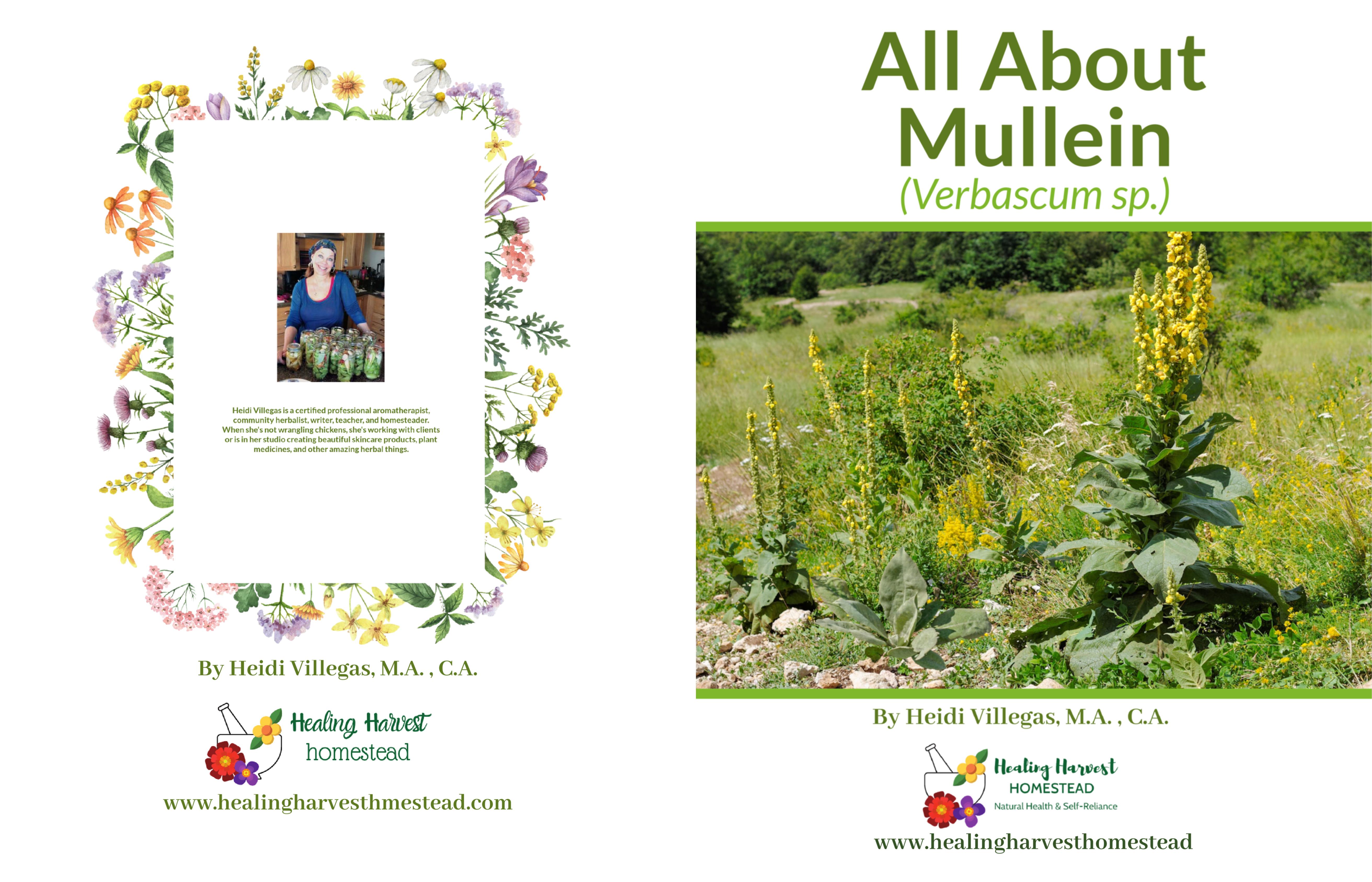 All About Mullein cover image