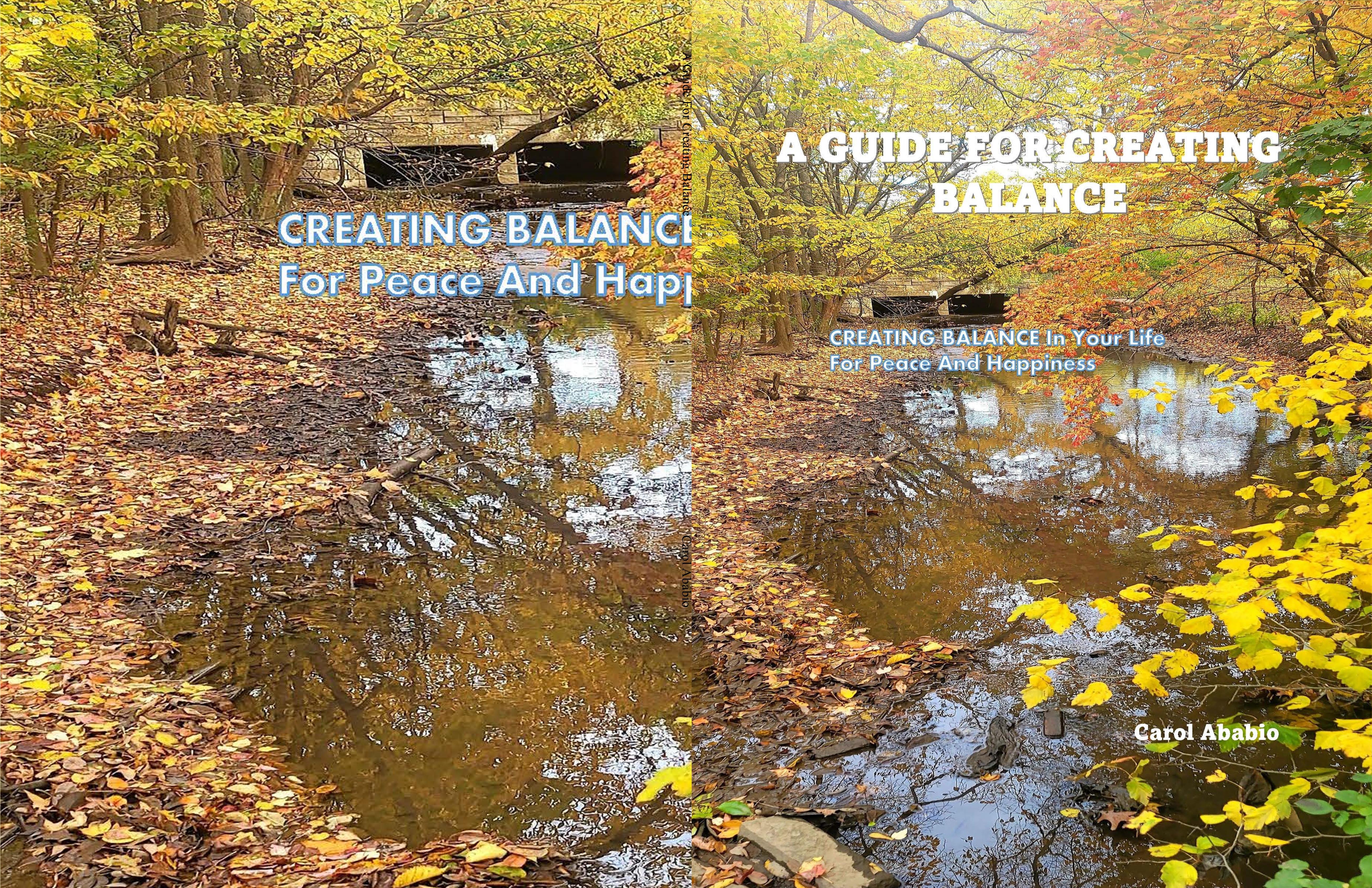 A Guide For Creating Balance cover image