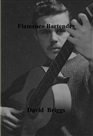 Flamenco Bartender cover image