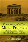 Commentary on the Minor Prophets cover image