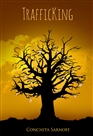 TrafficKing cover image
