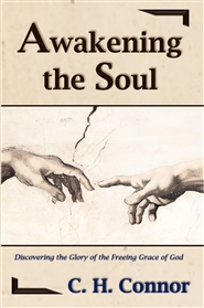 Awakening the Soul cover image