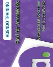 Flexi for VersaWorks Users cover image