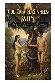 GOD CREATED SINNERS, WHY? cover image