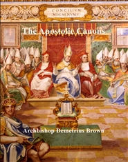 The Apostolic Canons  cover image