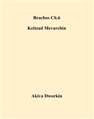 Brachos Ch.6 Keitzad Mevarchin cover image
