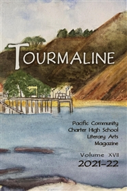 Tourmaline 2021-22: Volume XVII cover image