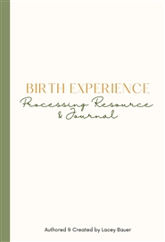 Birth Experience Processing Resource & Journal cover image