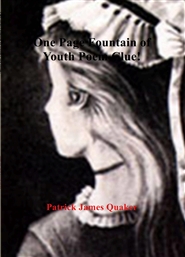 One Page Fountain of Youth Clue Poem! cover image