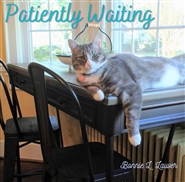 Patiently Waiting cover image