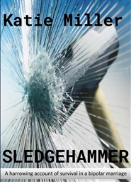 Sledgehammer cover image