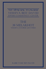 THE 39 MELAKHOT cover image