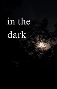 in the dark cover image