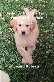 Our Life Together Just One Day at a Time cover image