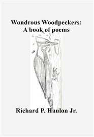 Wondrous Woodpeckers cover image