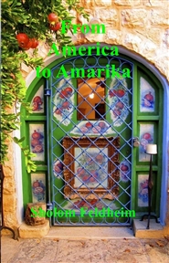 From America to Amarika cover image