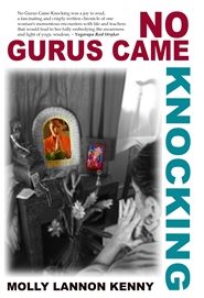 No Gurus Came Knocking cover image