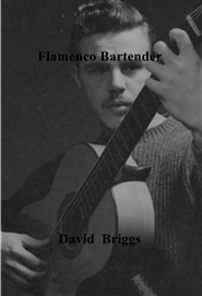 Flamenco Bartender cover image