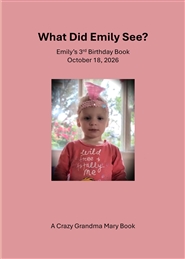 What Did Emily See? cover image