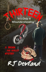 Thirteen cover image