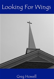 Looking For Wings cover image