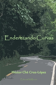 Enderezando Curvas cover image