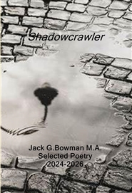 Shadowcrawler cover image