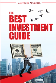 BIG: THE BEST INVESTMENT GUIDE cover image