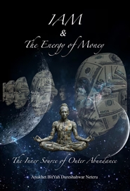 IAM and the Energy of Money cover image