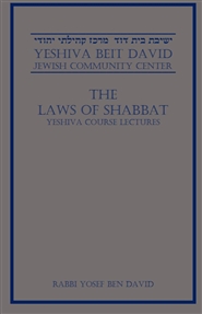 THE LAWS OF SHABBAT cover image