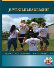 Juvenile Accountability & Intersection cover image