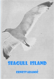 Seagull Island cover image