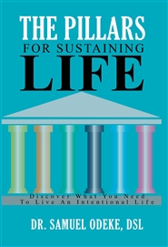 The Pillars for Sustaining ... cover image