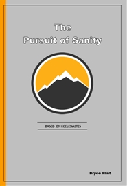 The Pursuit of Sanity cover image