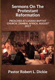 Sermons On The Protestant Reformation cover image