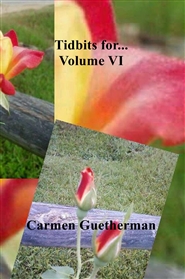 Tidbits for...     Volume VI cover image