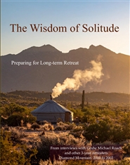 The Wisdom of Solitude cover image