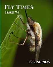Fly Times 74 (2025) cover image