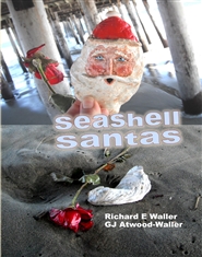 Seashell Santas cover image