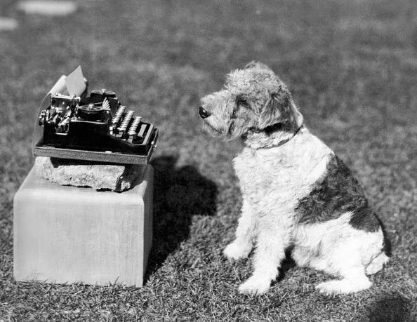 Author bio image