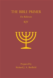 The Bible Primer for Believers cover image