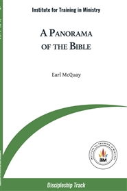 A Panorama of the Bible cover image
