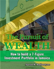 The Pursuit of Wealth cover image