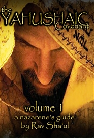 The Yahushaic Covenant Volume 1 - The Mediator cover image