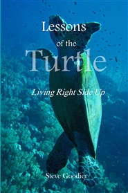Lessons of the Turtle cover image