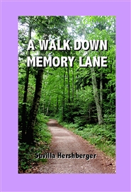 A Walk Down Memory Lane cover image