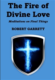 THE FIRE OF DIVINE LOVE cover image