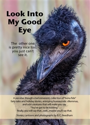 Look Into My Good Eye cover image