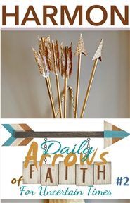 Daily Arrows of Faith #2 cover image